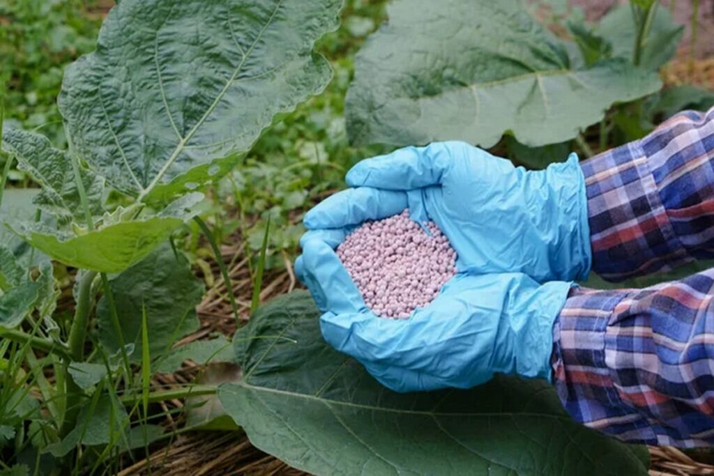 Лукашенко предложил Алжиру и Оману совместный проект по производству удобрений