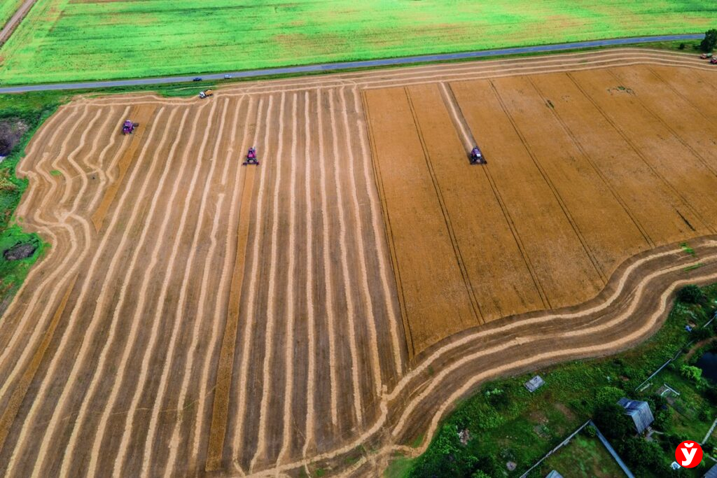 Жилье, зарплата и соцподдержка в 25 базовых: почему молодые специалисты остаются в «Гольшанах»