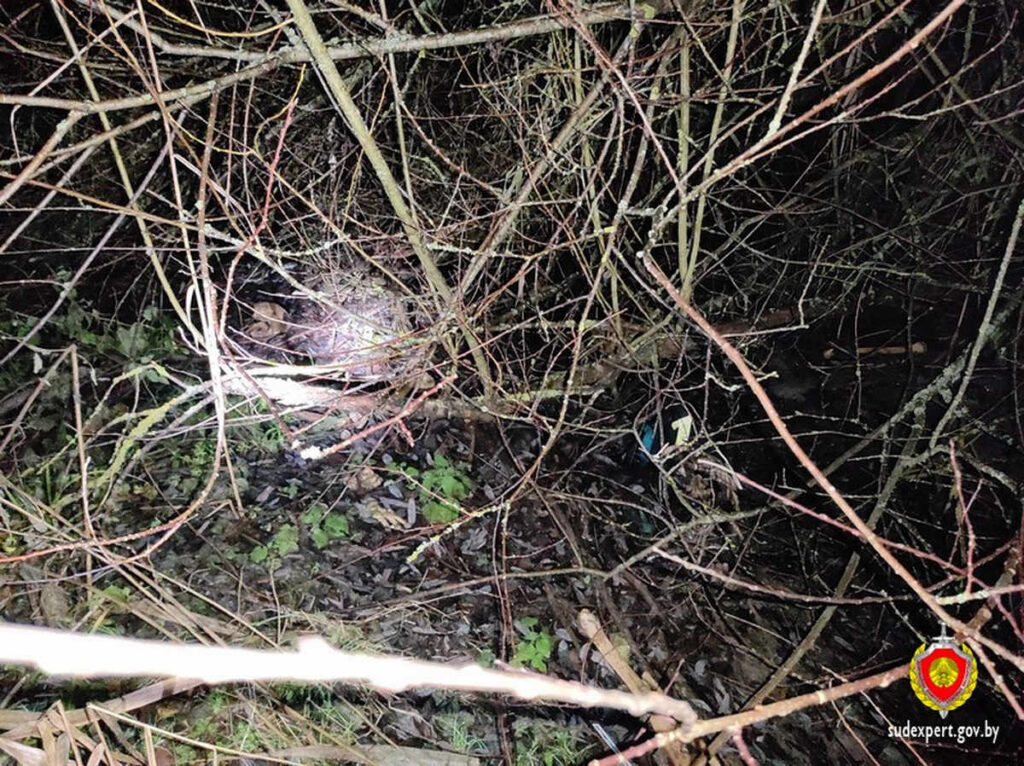 Экспертиза ДНК помогла в поисках пропавшего в Дзержинском районе