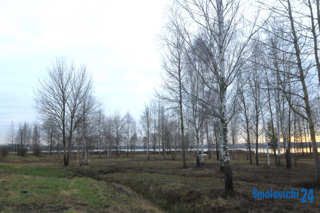 «Тихая» зона отдыха появится у Смолевичского водохранилища – спортсмены оценят