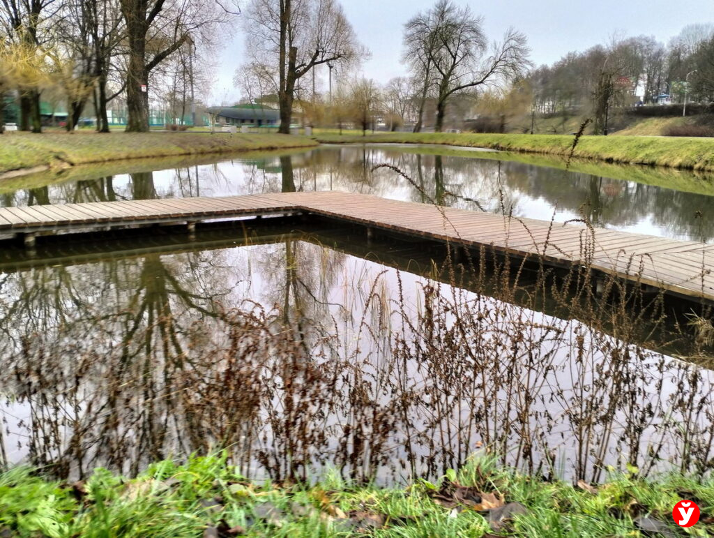 Сильный ветер и гололедица: какие сюрпризы готовит погода 25 декабря