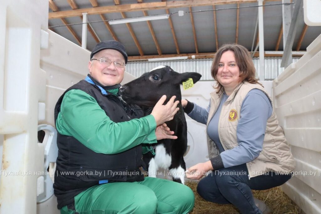 «Молочное такси» и дом для телят — сельхозфилиал «Красный май» внедряет инновации в аграрную отрасль