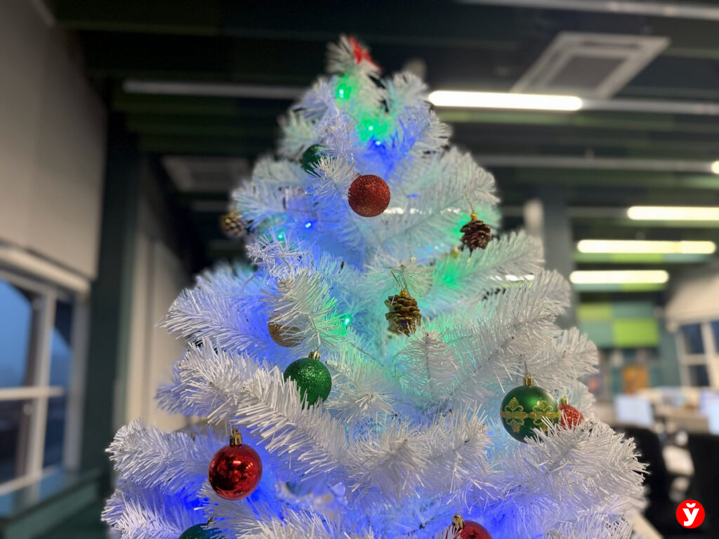 Как избежать травм и возгораний в новогодние праздники