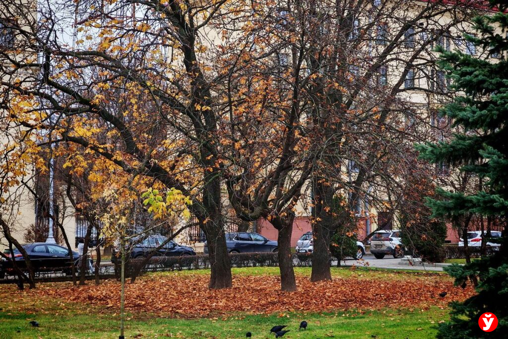 Как жители Минской области могут преобразить свой двор или деревню за счет бюджета