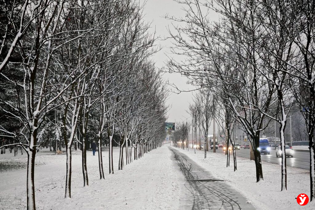 Ждать ли белорусам снежной зимы? Синоптик удивил прогнозом