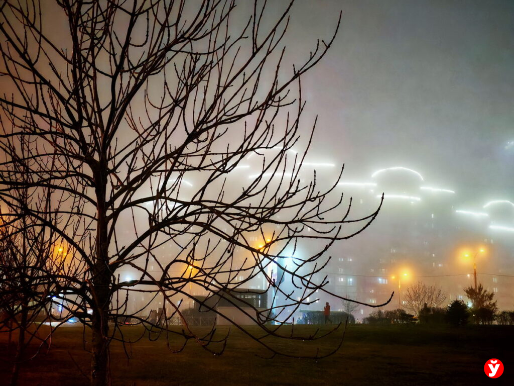 Беларусь накроет густой туман: прогноз погоды на 2 декабря