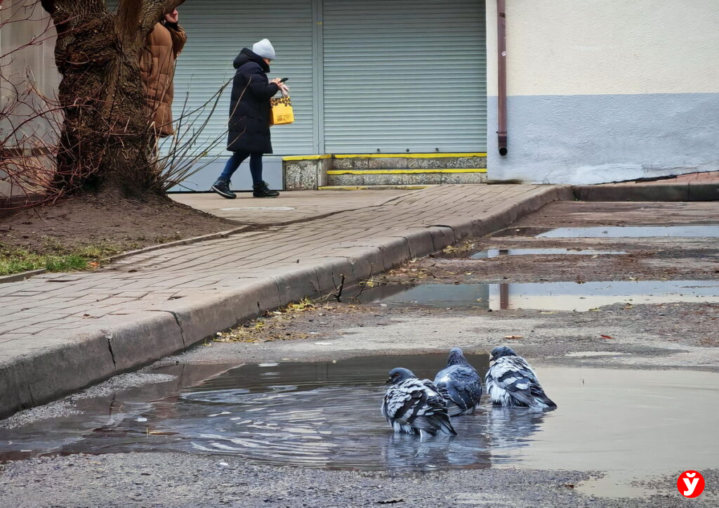 В ближайшие дни возможны сбои с зачислением денег и переводами — один из банков предупредил белорусов