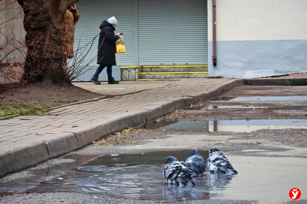 Зима откладывается — в Беларусь 5 декабря придут дожди и плюсовая температура