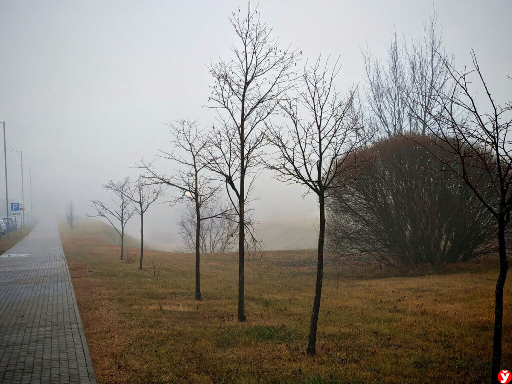 Прогноз погоды на 8 декабря. Ночью и утром в отдельных районах слабые туман и гололед
