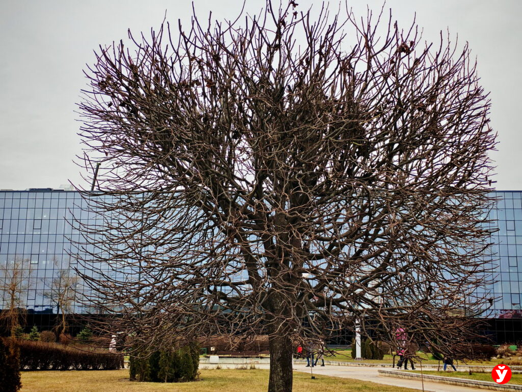 Облачно с прояснениями и местами гололёд: прогноз погоды на 18 декабря