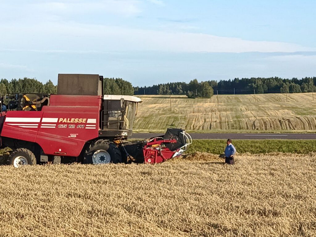 «Каждый следующий каравай богаче»: как «Негневичи» ставят сельскохозяйственные рекорды
