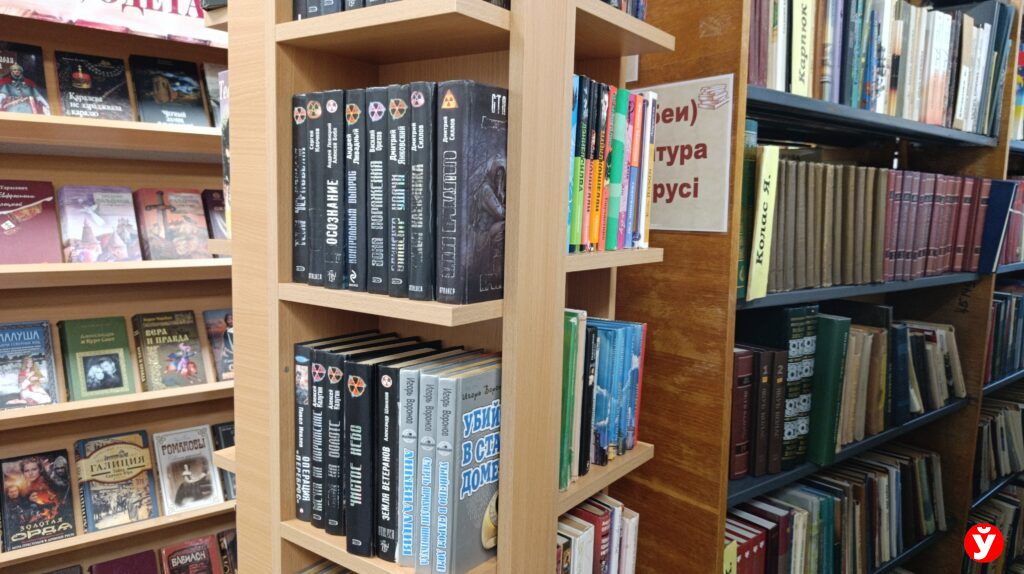 Экстремисты попытались раскритиковать работу библиотек и посмеялись над инвалидом