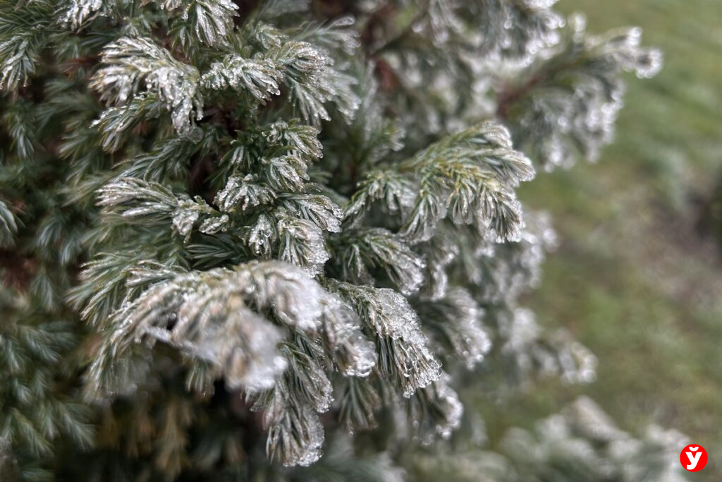 Доставайте пуховики: в Беларусь придут морозы до -18°C