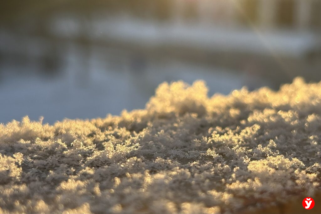 Снега будет много — какая погода ждет белорусов 30 декабря