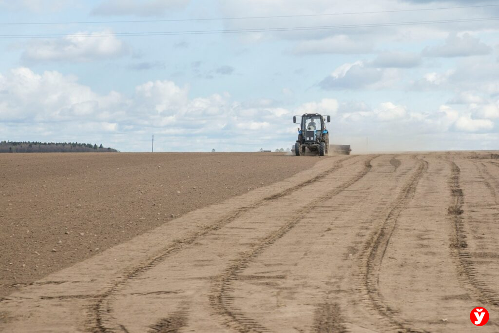 Вороновское ПМС: как небольшое предприятие стало лидером Гродненской области