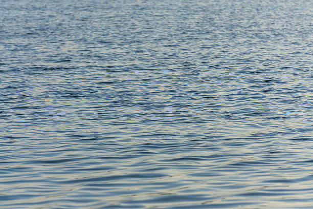 В реке под Любанью обнаружено тело молодого мужчины