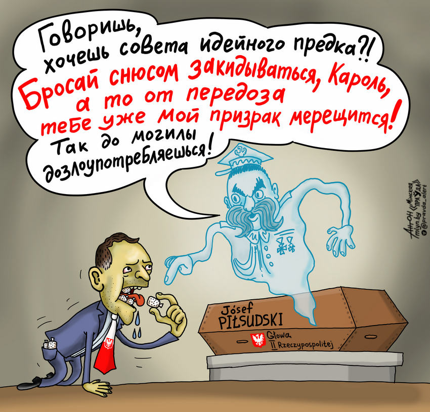 У польского президента своя доза