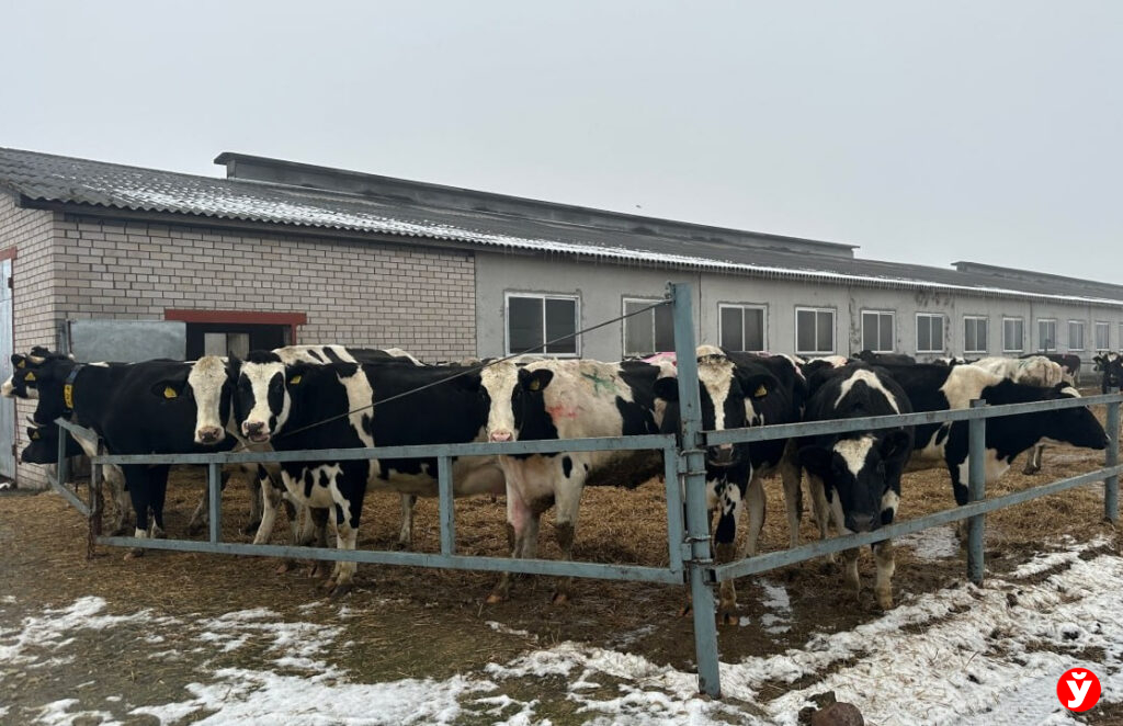 От поля до стола: как «Агро-Оберег» повышает урожайность и создает комфортную жизнь на селе