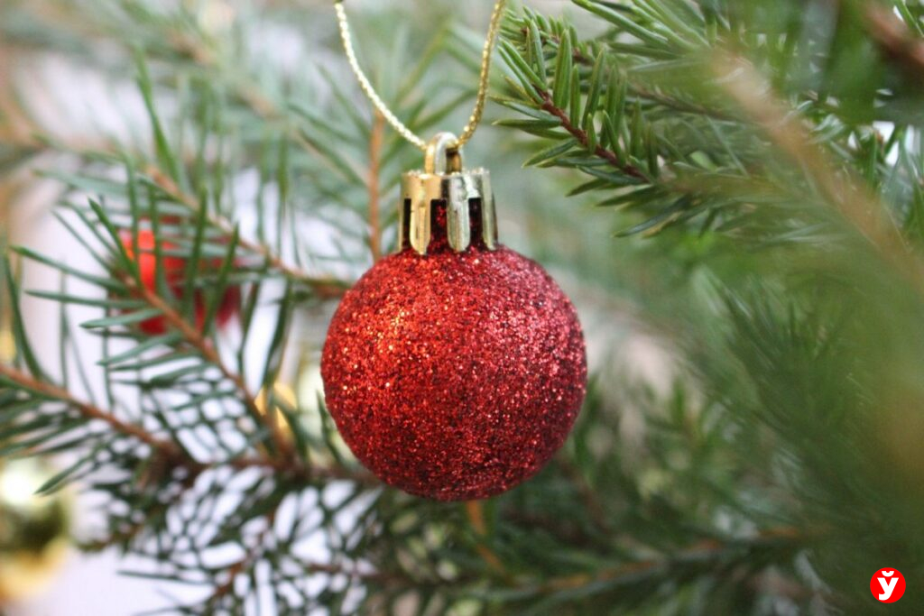 Хотите купить ёлку и украшения со скидкой? Это может быть главная ошибка декабря