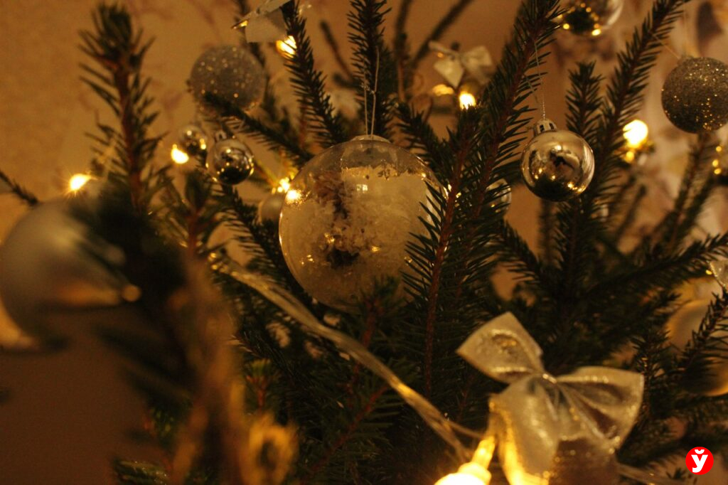 Лесники переходят на усиленный режим работы — ловить будут «ёлочных браконьеров»