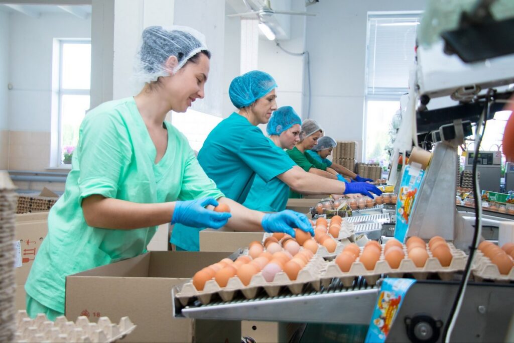 Лукашенко поручил создать селекционно-генетический центр и отметил Солигорскую птицефабрику