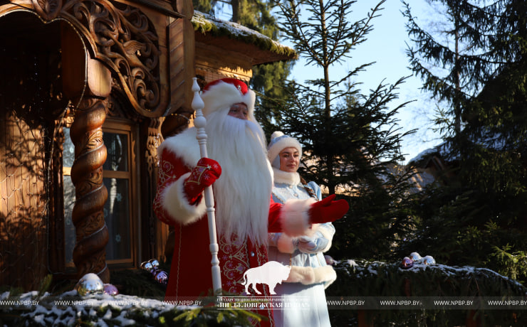 Когда и где можно встретиться с Дедом Морозом и Полесским Зюзей — узнали их графики