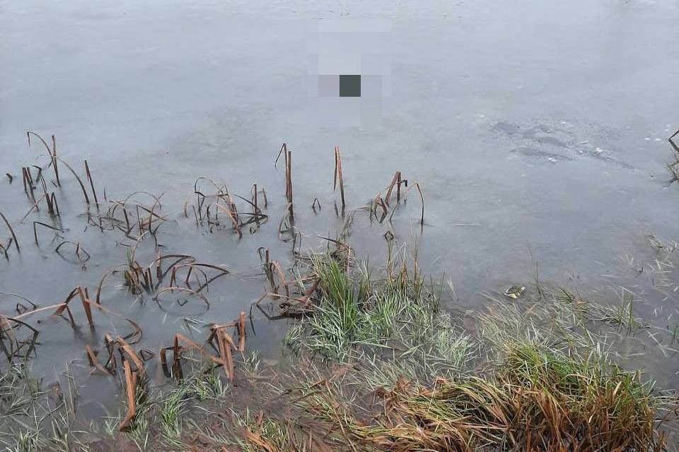 Женщина утонула в водоеме под Молодечно