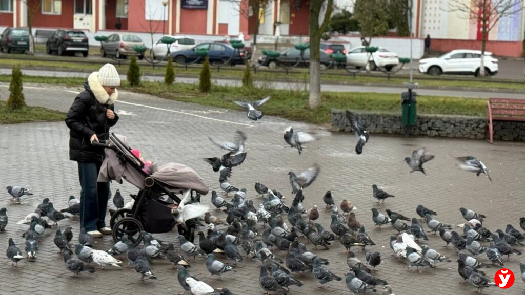 Жодино, который меняется прямо на глазах: каким стал город за этот год