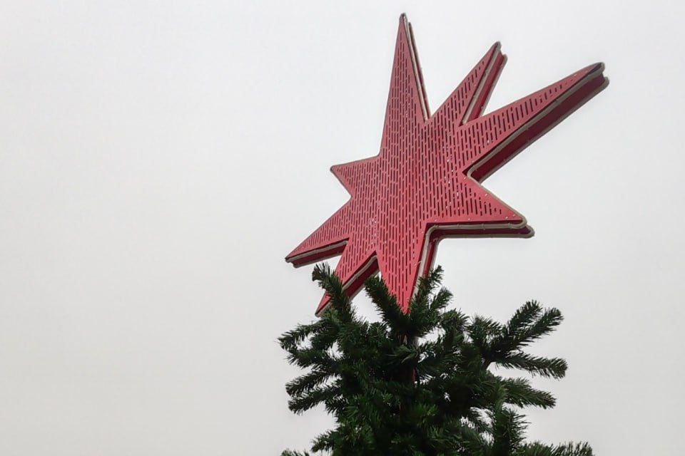 Самую высокую ёлку Минской области в 2025 году показали с верхней точки