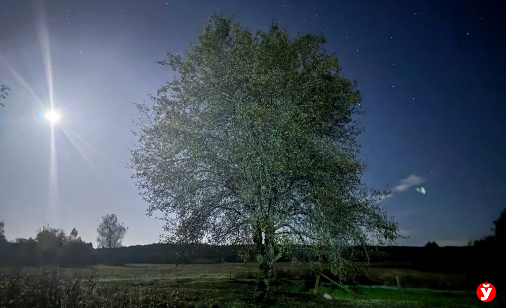 Белорусы пережили самую теплую октябрьскую ночь за последние 80 лет