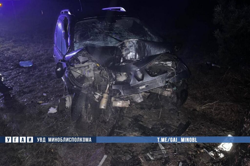 Водитель «Рено» врезался в дерево под Слуцком — пассажирка скончалась после ДТП в больнице