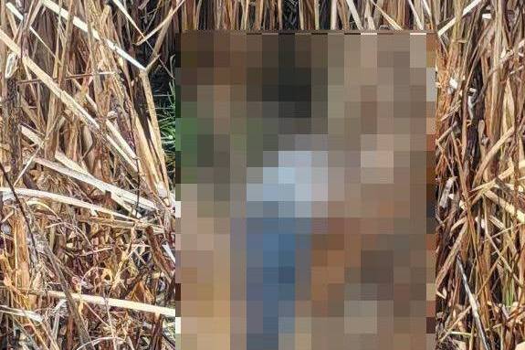 В Пуховичском районе в водоёме найден погибший мужчина