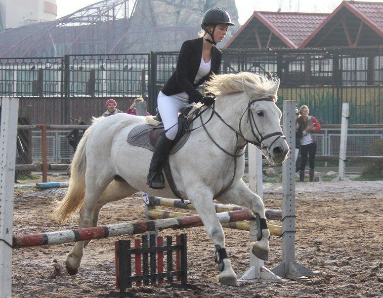 Столичный зоопарк выбирает символ 2026 года — как проголосовать