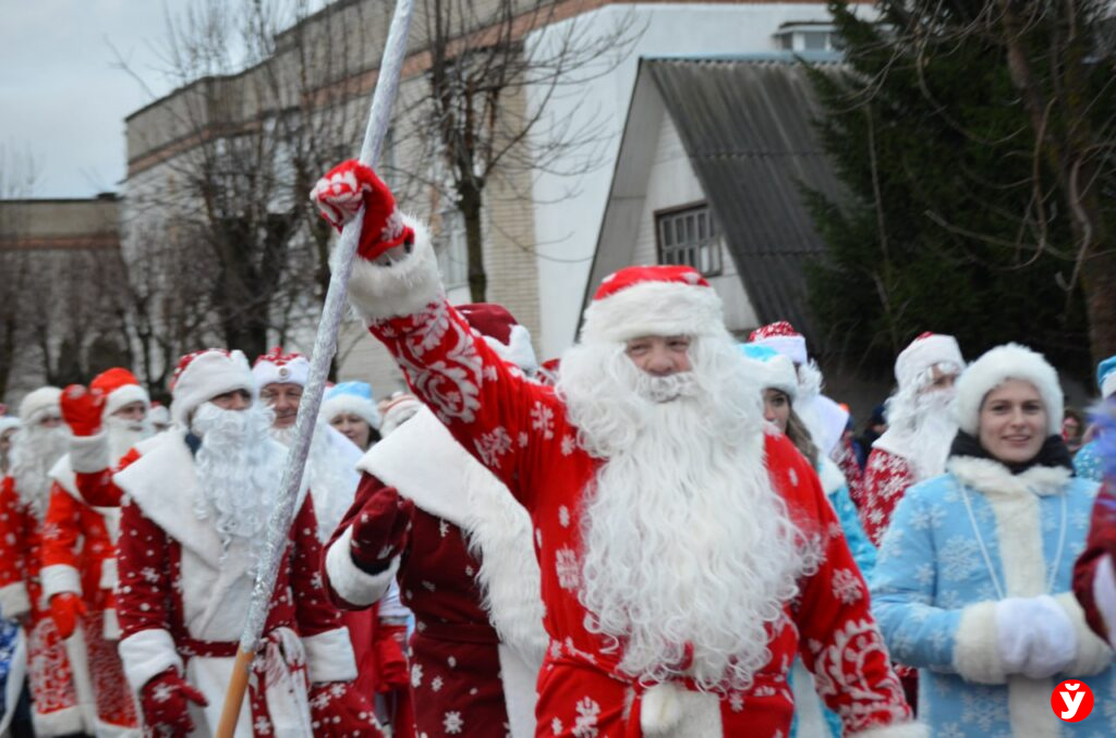 Крупки первыми зажгли Новый год у единственной на Минщине главной живой ёлки
