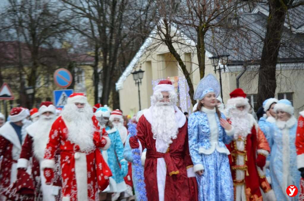 Крупки первыми зажгли Новый год у единственной на Минщине главной живой ёлки