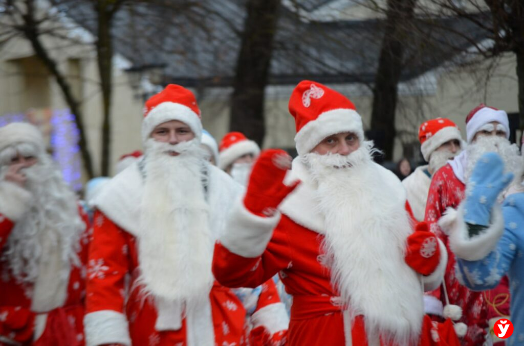 Крупки первыми зажгли Новый год у единственной на Минщине главной живой ёлки