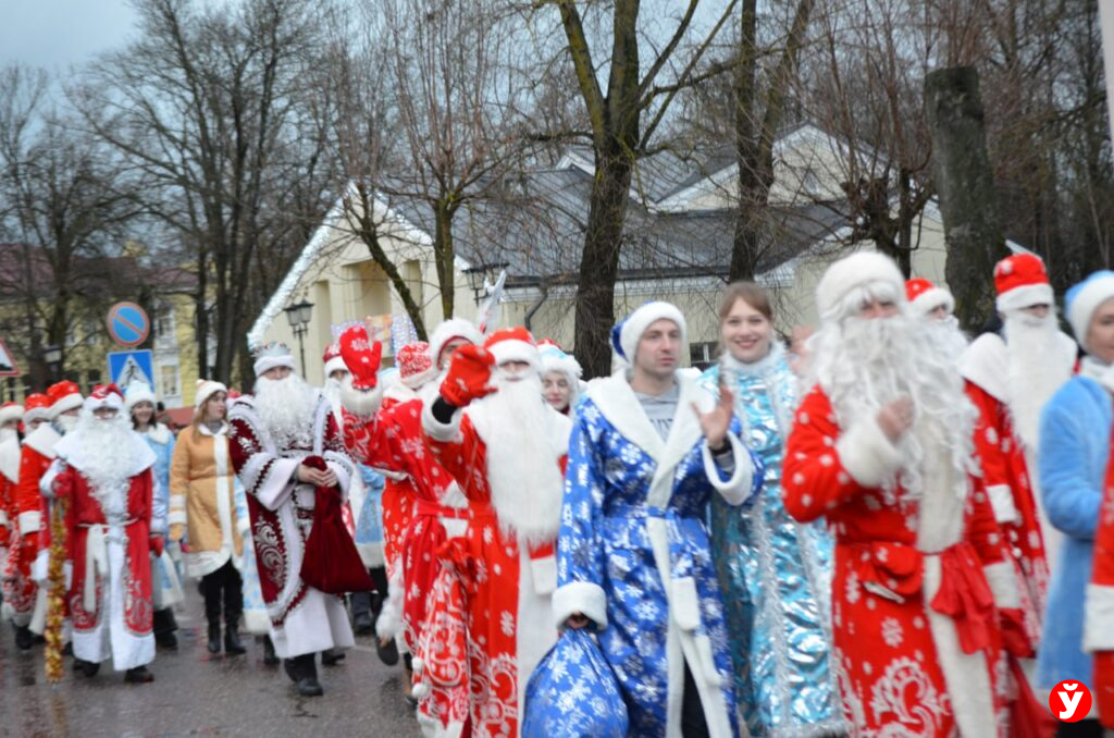 Крупки первыми зажгли Новый год у единственной на Минщине главной живой ёлки