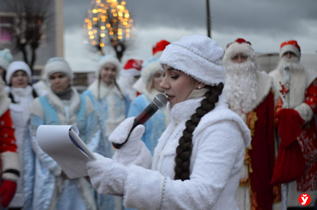 Крупки первыми зажгли Новый год у единственной на Минщине главной живой ёлки