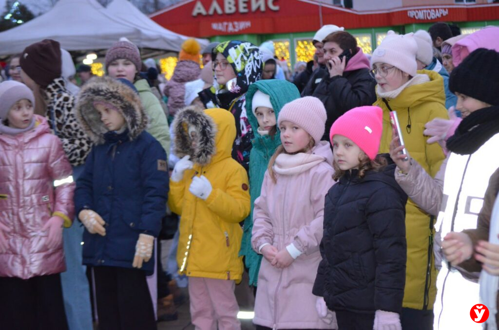 Крупки первыми зажгли Новый год у единственной на Минщине главной живой ёлки