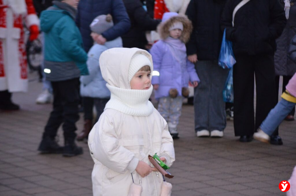 Крупки первыми зажгли Новый год у единственной на Минщине главной живой ёлки