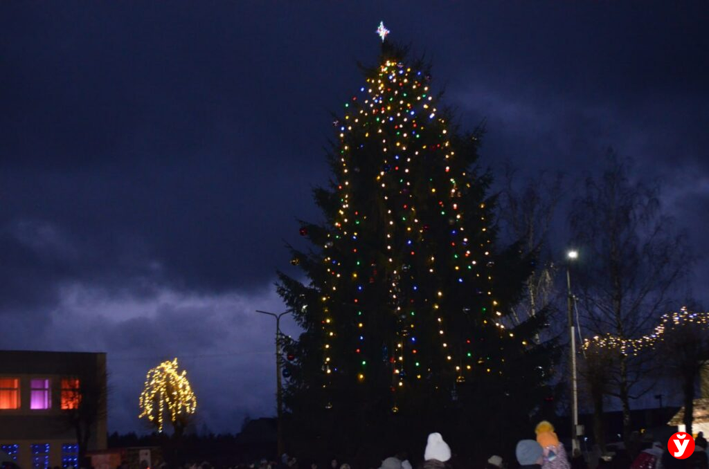 Крупки первыми зажгли Новый год у единственной на Минщине главной живой ёлки