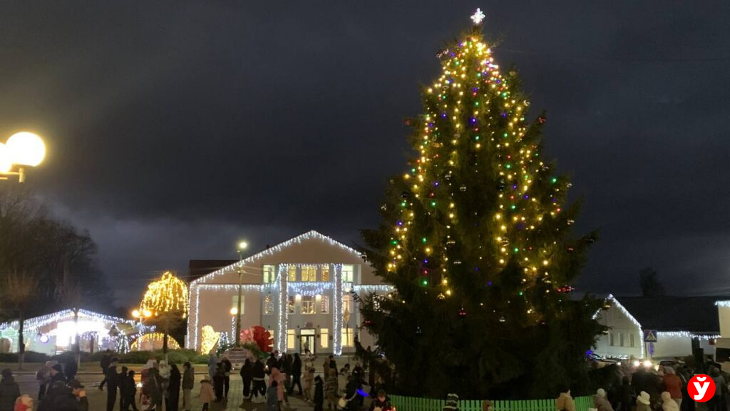 Крупки первыми зажгли Новый год у единственной на Минщине главной живой ёлки