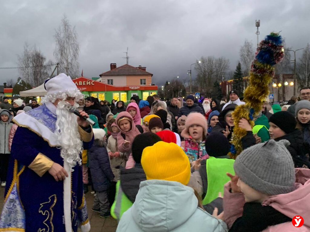 Крупки первыми зажгли Новый год у единственной на Минщине главной живой ёлки