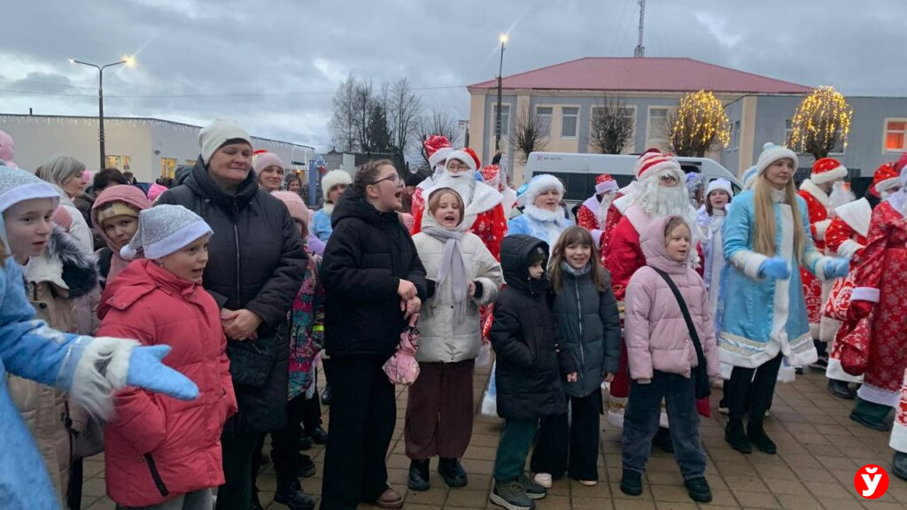 Крупки первыми зажгли Новый год у единственной на Минщине главной живой ёлки