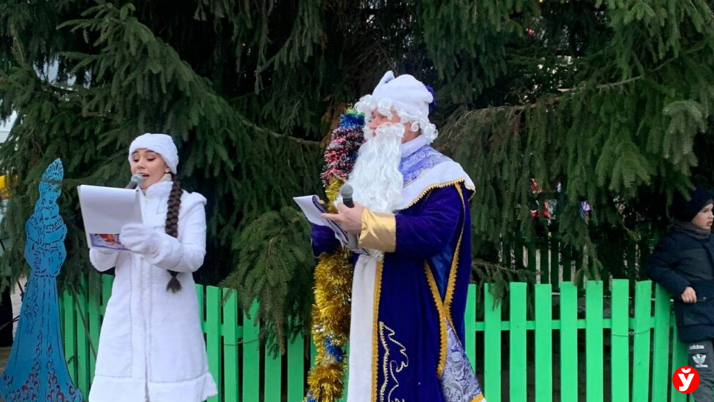 Крупки первыми зажгли Новый год у единственной на Минщине главной живой ёлки