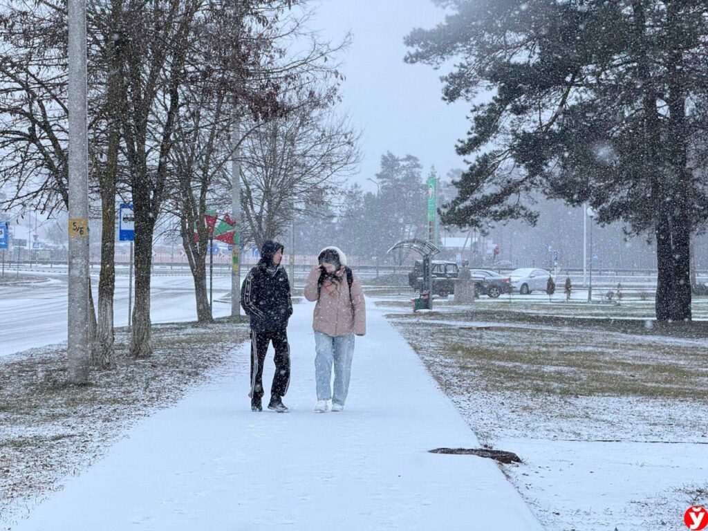 Где в Минской области выпало больше снега: смотрите на фото