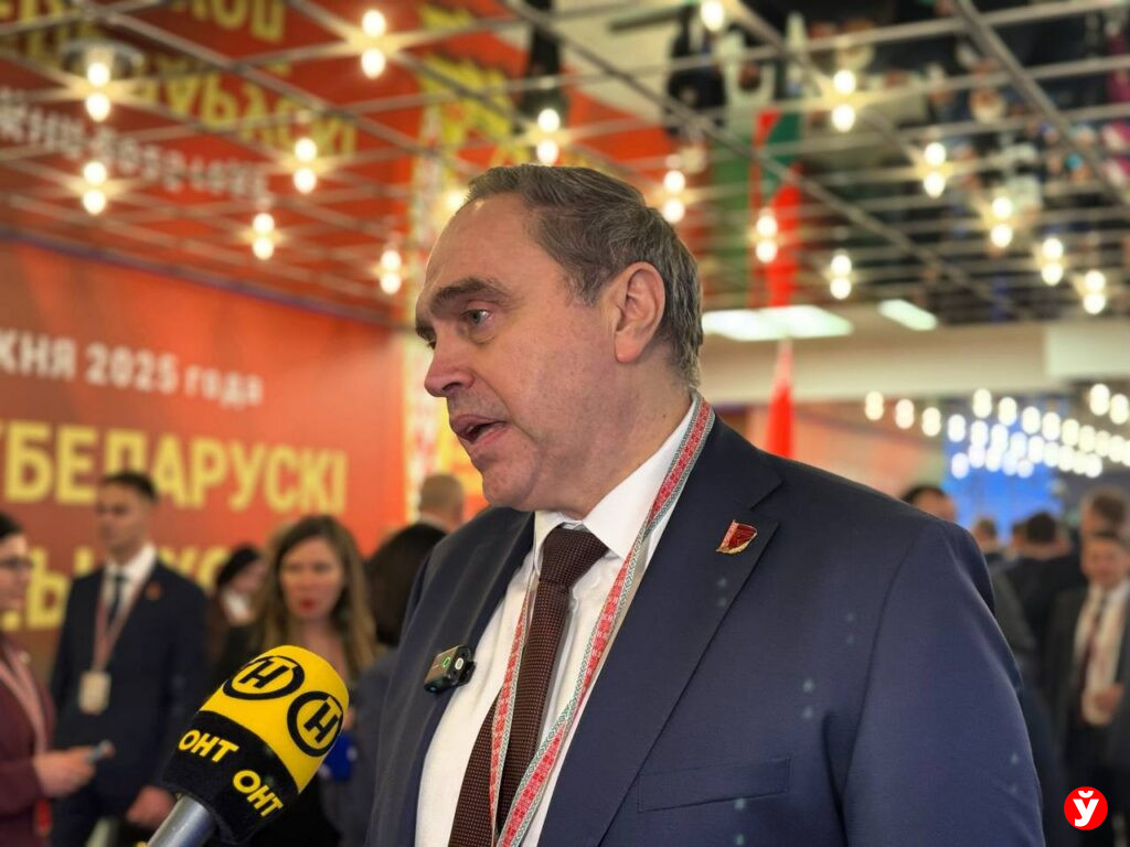 Караник: ВНС должен дать честную диагностику успехов и провалов