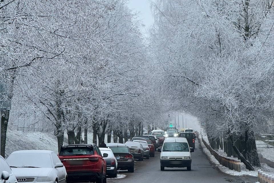 Необычный снег заметили в Минске — он может нести опасность