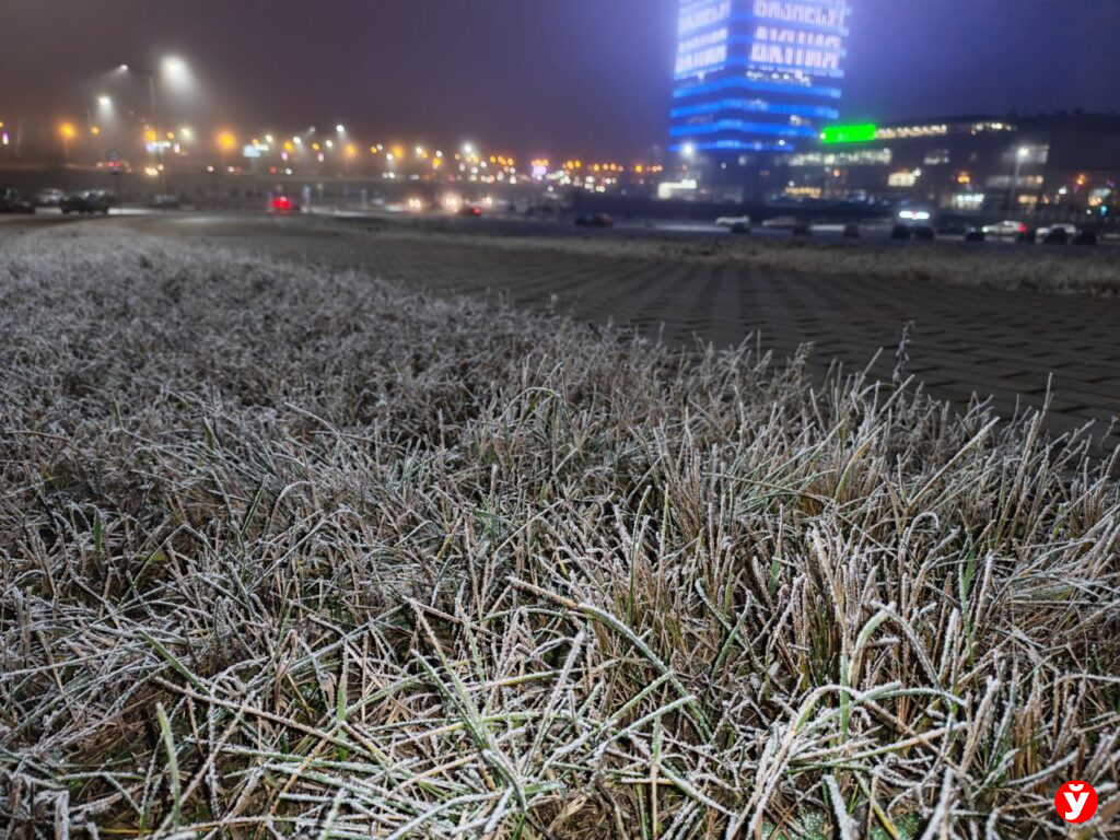 Белорусов предупредили об ухудшении видимости и скользких дорогах 21 декабря