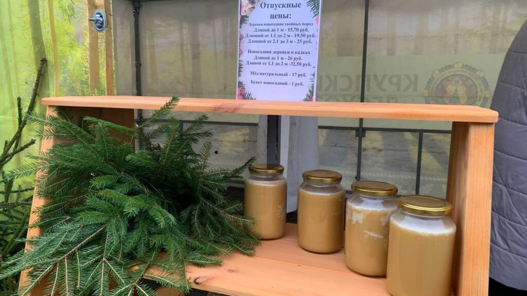 Новогодний кошелек Крупки